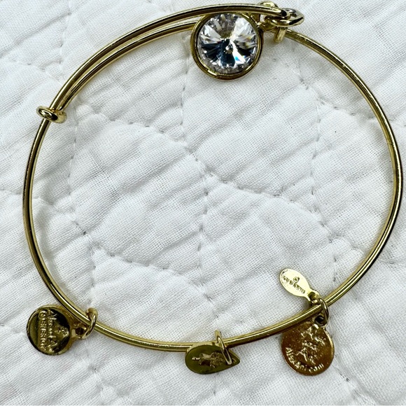 Alex and Ani April Birthstone Charm Bangle - Clear Crystal - Picture 9 of 10